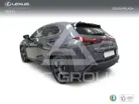2023 Lexus UX250