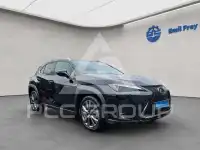 2023 Lexus UX250