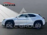 2023 Lexus UX250