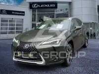 2023 Lexus UX250