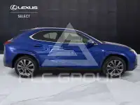 2023 Lexus UX250