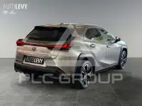 2023 Lexus UX250