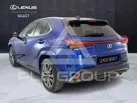 2023 Lexus UX250