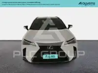 2023 Lexus UX250