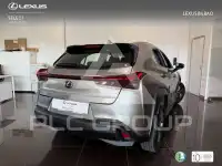 2023 Lexus UX250