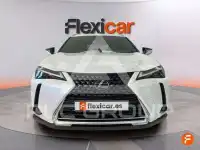 2023 Lexus UX250