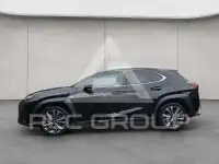 2023 Lexus UX250