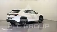 2023 Lexus UX250