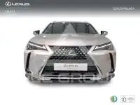 2023 Lexus UX250