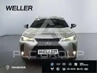 2023 Lexus UX250