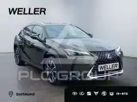 2023 Lexus UX250