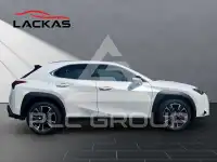 2023 Lexus UX250