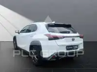 2023 Lexus UX250