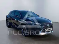 2023 Lexus UX250