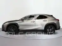 2023 Lexus UX250