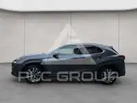 2023 Lexus UX250