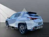 2023 Lexus UX250