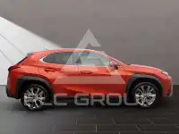 2023 Lexus UX250