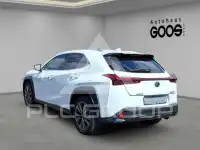 2023 Lexus UX250