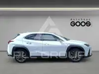 2023 Lexus UX250
