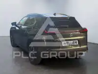 2023 Lexus UX250