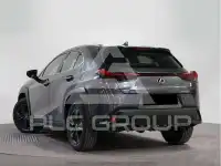2023 Lexus UX250