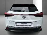 2023 Lexus UX250