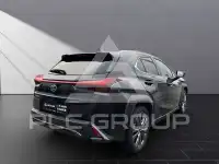 2023 Lexus UX250