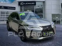 2023 Lexus UX250