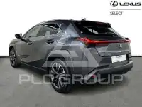 2023 Lexus UX250
