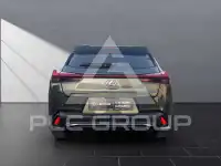 2023 Lexus UX250