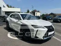 2023 Lexus UX250