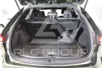 2023 Lexus RX450