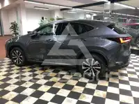 2023 Lexus Other