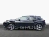 2023 Lexus Other