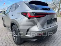 2023 Lexus Other