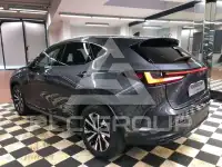 2023 Lexus Other