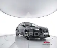 2023 Lexus Other