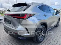 2023 Lexus Other