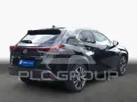 2023 Lexus Other