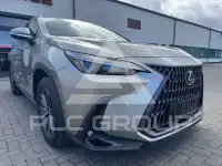 2023 Lexus Other