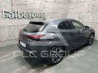2023 Lexus Other
