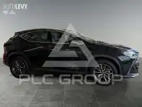 2023 Lexus NX250