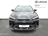 2023 Lexus NX250