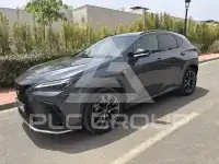 2023 Lexus NX250