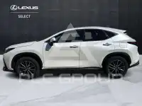 2023 Lexus NX250