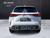 2023 Lexus NX250