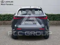 2023 Lexus NX250