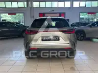 2023 Lexus NX250