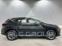 2023 Lexus NX250